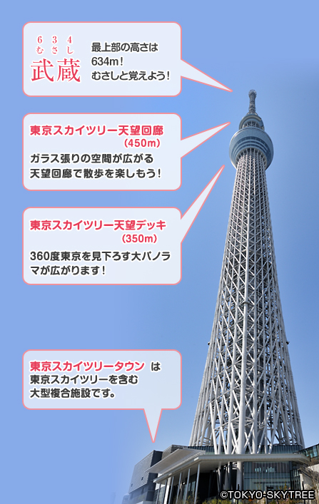 武蔵 最上部の高さは634m！ むさしと覚えよう！東京スカイツリー天望回廊（450m）ガラス張りの空間が広がる天望回廊で散歩を楽しもう！ 東京スカイツリー天望デッキ（350m）360度東京を見下ろす大パノラマが広がります！ 東京スカイツリータウンは東京スカイツリーを含む大型複合施設です。