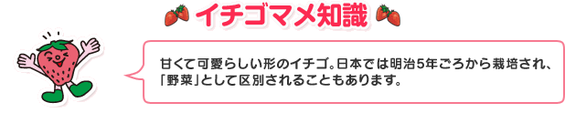 「イチゴマメ知識」甘くて可愛らしい形のイチゴ。日本では明治5年ごろから栽培され、「野菜」として区別されることもあります。