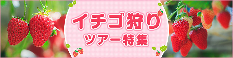 【中部・東海発】イチゴ狩りツアー・旅行