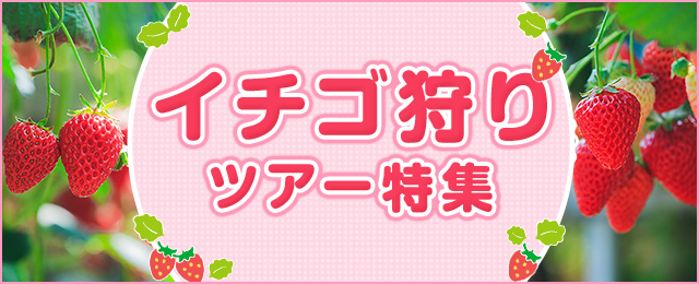 【中部・東海発】イチゴ狩りツアー・旅行