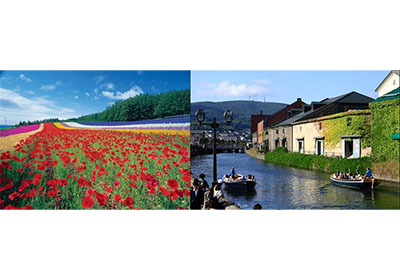 北海道を彩る花畑・富良野ファーム富田（画像左）ロマンあるれる港町！小樽（画像右）（※共にイメージ）