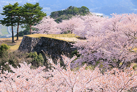 春の竹田城跡（イメージ）