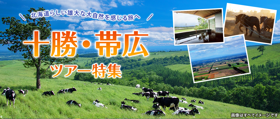 【北海道発】十勝・帯広ツアー・旅行