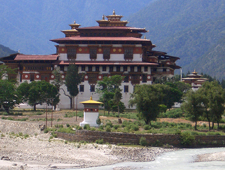 ゾン（イメージ）