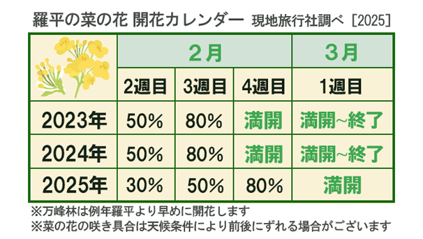 羅平の菜の花開花カレンダー