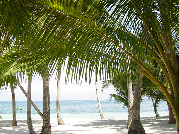 ボホールビーチ（イメージ）