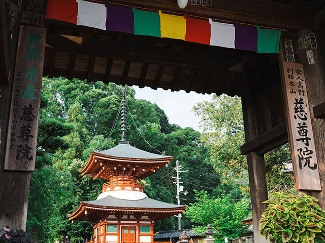 慈尊院（イメージ）