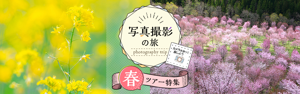 春（桜・花など）撮影ツアー・旅行｜写真撮影の旅