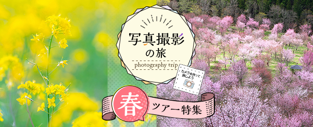 春（桜・花など）撮影ツアー・旅行｜写真撮影の旅