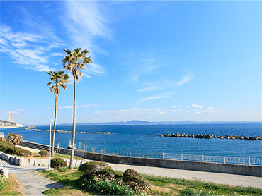 三浦半島ぐるり一周ウォーク特集 旅行・ツアー