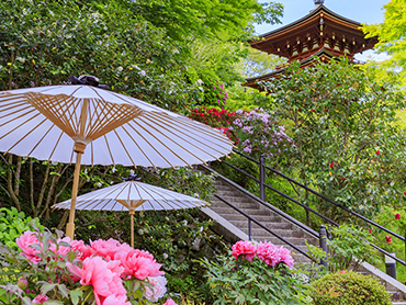 西国三十三所めぐりツアー 旅行・ツアー