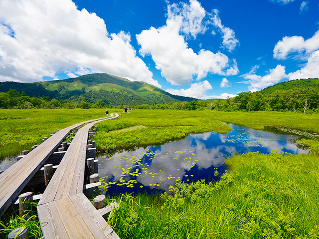 尾瀬特集 旅行・ツアー