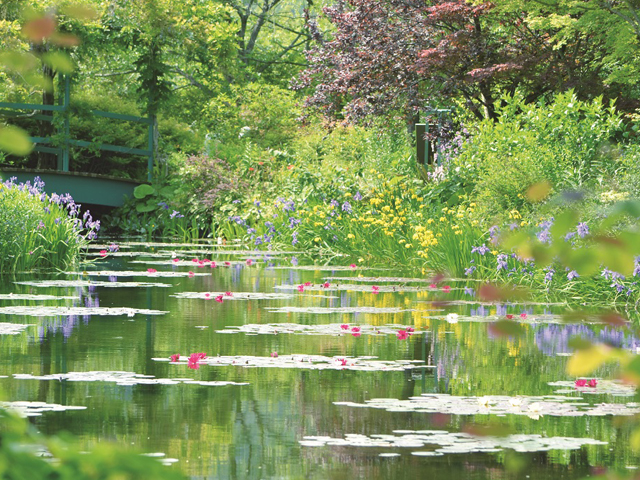こだわりの花めぐり旅 旅行・ツアー
