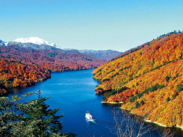 紅葉ツアー特集｜おひとり参加限定の旅 旅行・ツアー