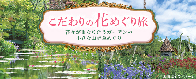 こだわりの花めぐり旅・ツアーを花の見頃から探す