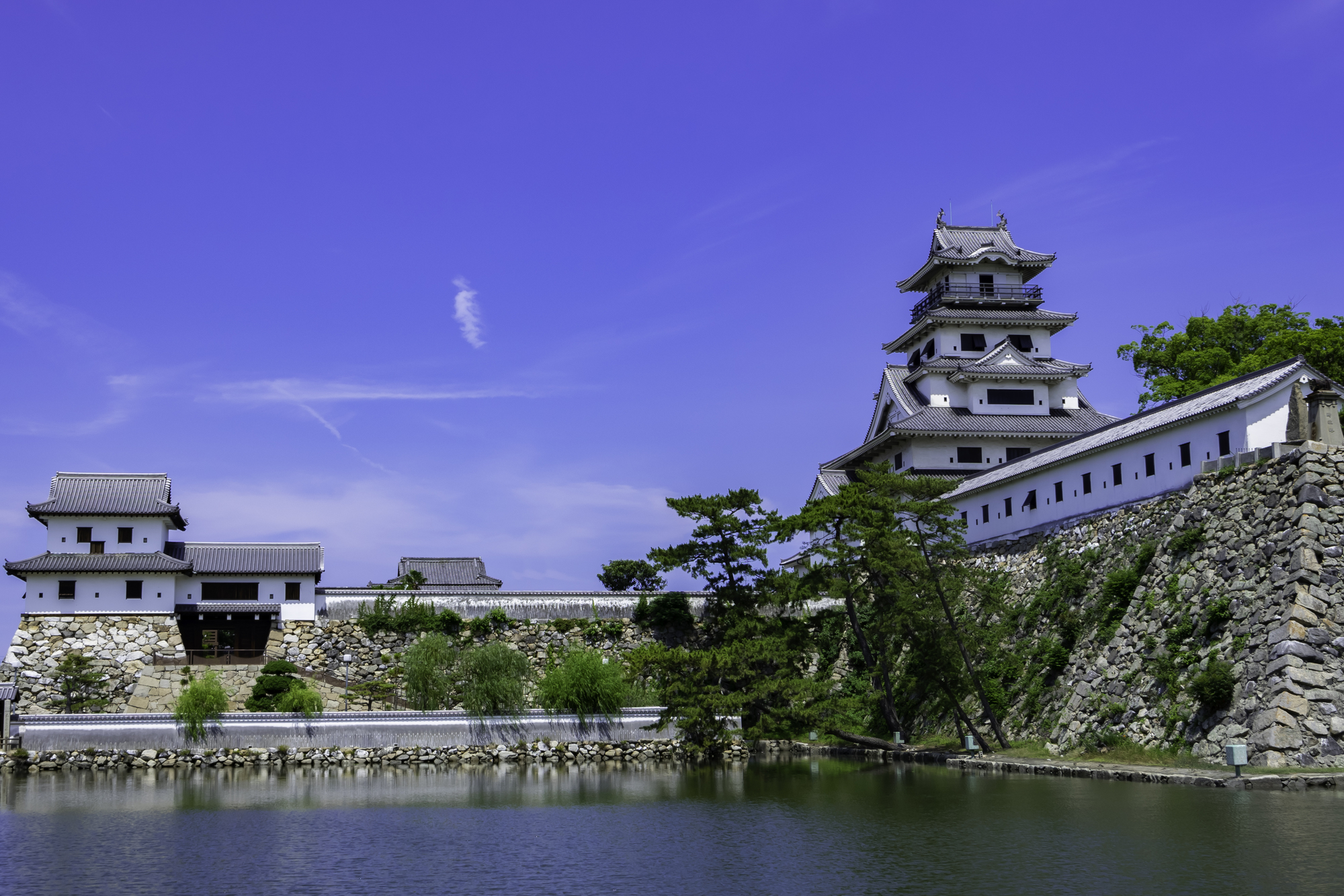 「日本三大海城」のひとつ、今治城。堀には瀬戸内海の魚が泳ぎます（イメージ）
