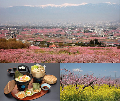 上：桃源郷／左下：昼食／右下：桃と菜の花 ※画像は全てイメージ