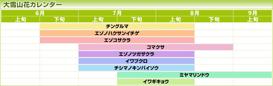 大雪山花カレンダー