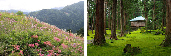 左：白山高山植物園(イメージ)　※花の見ごろは例年6月上旬～7月中旬 右：平泉寺白山神社(イメージ)