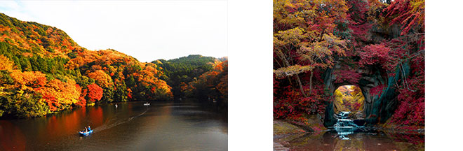左：紅葉の亀山湖（イメージ）※紅葉の見頃は例年11月中旬～12月上旬／右：濃溝の滝（イメージ）※紅葉の見頃は例年11月下旬～12月上旬
