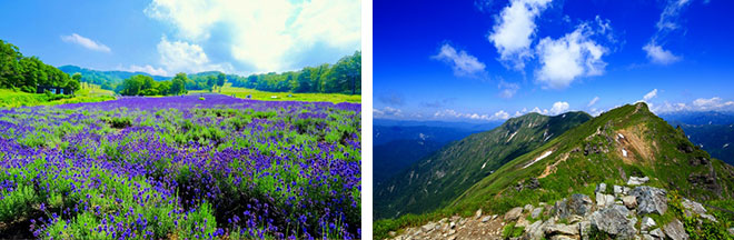 左：玉原高原のラベンダー畑（イメージ）／右：谷川岳登山（イメージ）