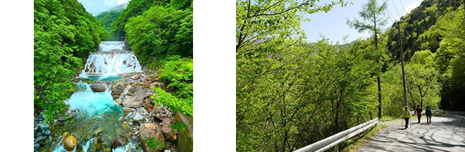 左：しらび林道檜尾橋（イメージ） 右：ウォーキングの様子（イメージ）