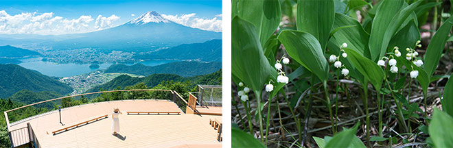 左：FUJIYAMAツインテラス（イメージ）※富士山は天候により見られない場合があります／右：すずらんの花（イメージ）※花の見頃：例年5月中旬～6月中旬