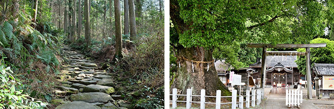 左：馬越峠（イメージ）／右：尾鷲神社（イメージ）