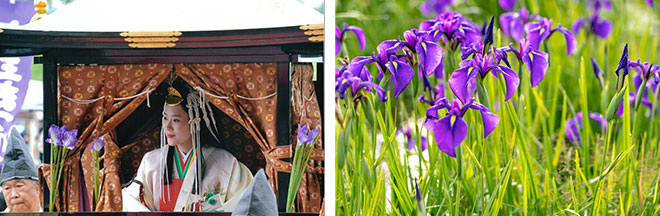 左：斎王まつり（イメージ）／右：斎宮の花しょうぶ群落（イメージ）※花の見ごろは6月上旬から中旬