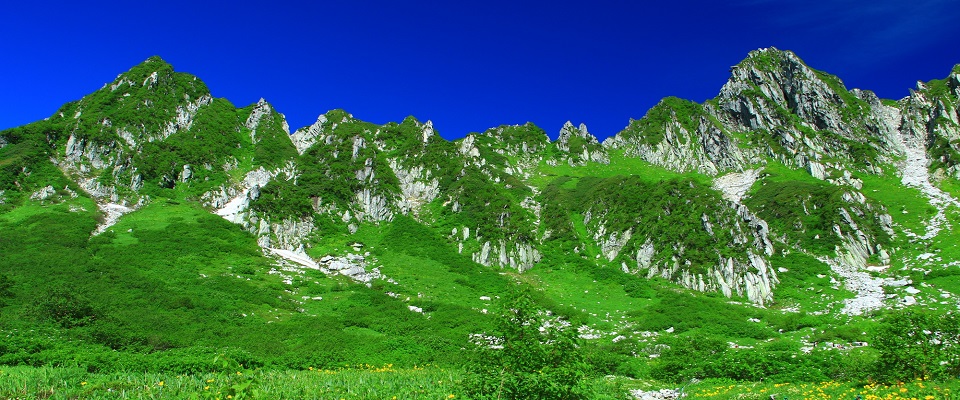 木曽駒ケ岳の中腹・約2700m地点に広がる千畳敷カール。多くの高山植物に出会うことができます（イメージ）