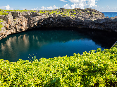 人魚伝説残る神秘な池・通り池