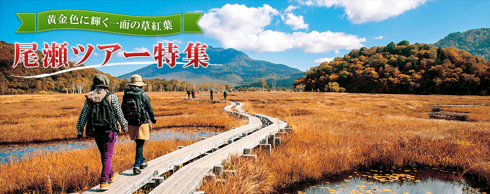 【関西発】尾瀬旅行・ツアー 2026 ハイキング・登山