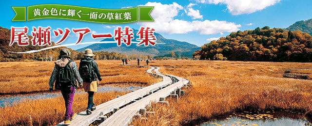【関西発】尾瀬旅行・ツアー 2026 ハイキング・登山