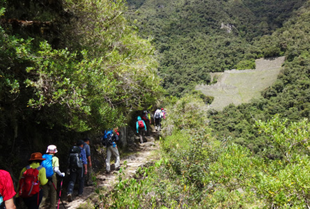 ウイニャワイナ遺跡のイメージ