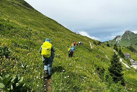 シーニゲプラッテ展望台とユングフラウ三山展望ハイキング（イメージ）