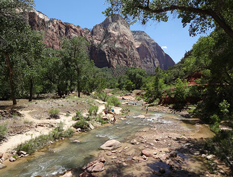 エメラルドプールズハイキングのイメージ