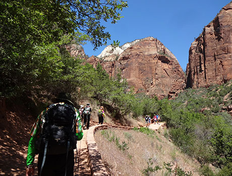 エメラルドプールズハイキングのイメージ