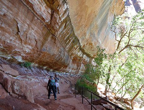 エメラルドプールズハイキングのイメージ