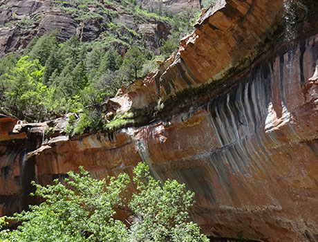 エメラルドプールズハイキングのイメージ