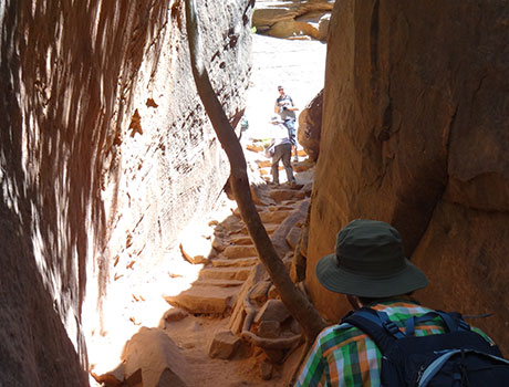 エメラルドプールズハイキングのイメージ