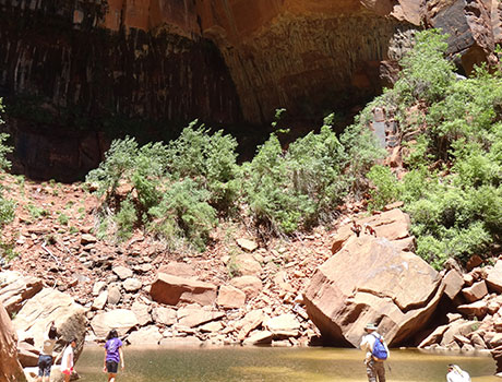 エメラルドプールズハイキングのイメージ