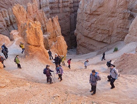 ナバホパイネ&クイーンズガーデンコンビネーションハイキングのイメージ