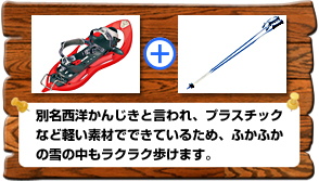 別名西洋かんじきと言われ、プラスチックなど軽い素材でできているため、ふかふかの雪の中もラクラク歩けます。