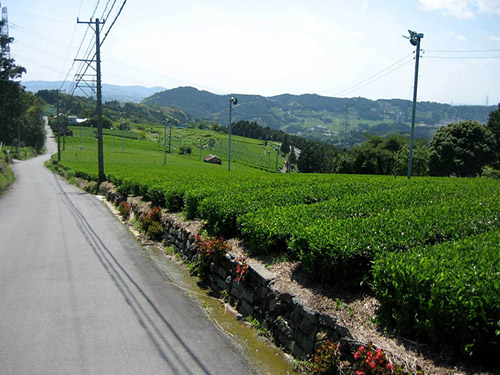 小夜の中山（イメージ）
