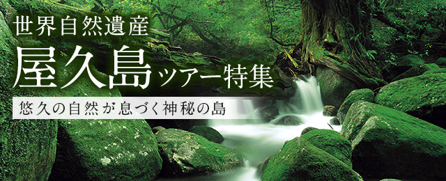 【関西発】屋久島ツアー・旅行