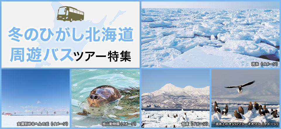 冬のひがし北海道周遊バスツアー・旅行