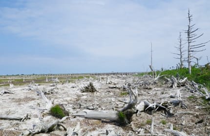 野付半島 北海道 日本の秘境 絶景ツアー 旅行 クラブツーリズム