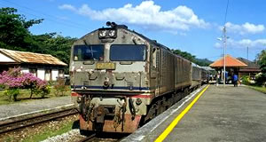 �}���[�S���i�C���[�W�j