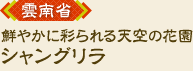 �_��ȁA�N�₩�ɍʂ���V��̉ԉ��u�V�����O�����v