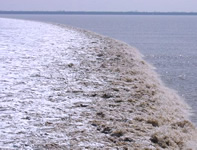 �K���]�i�C���[�W�j